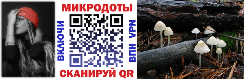 как найти наркотики KRAKEN ССЫЛКА Псилоцибиновые грибы Psilocybe Городовиковск
